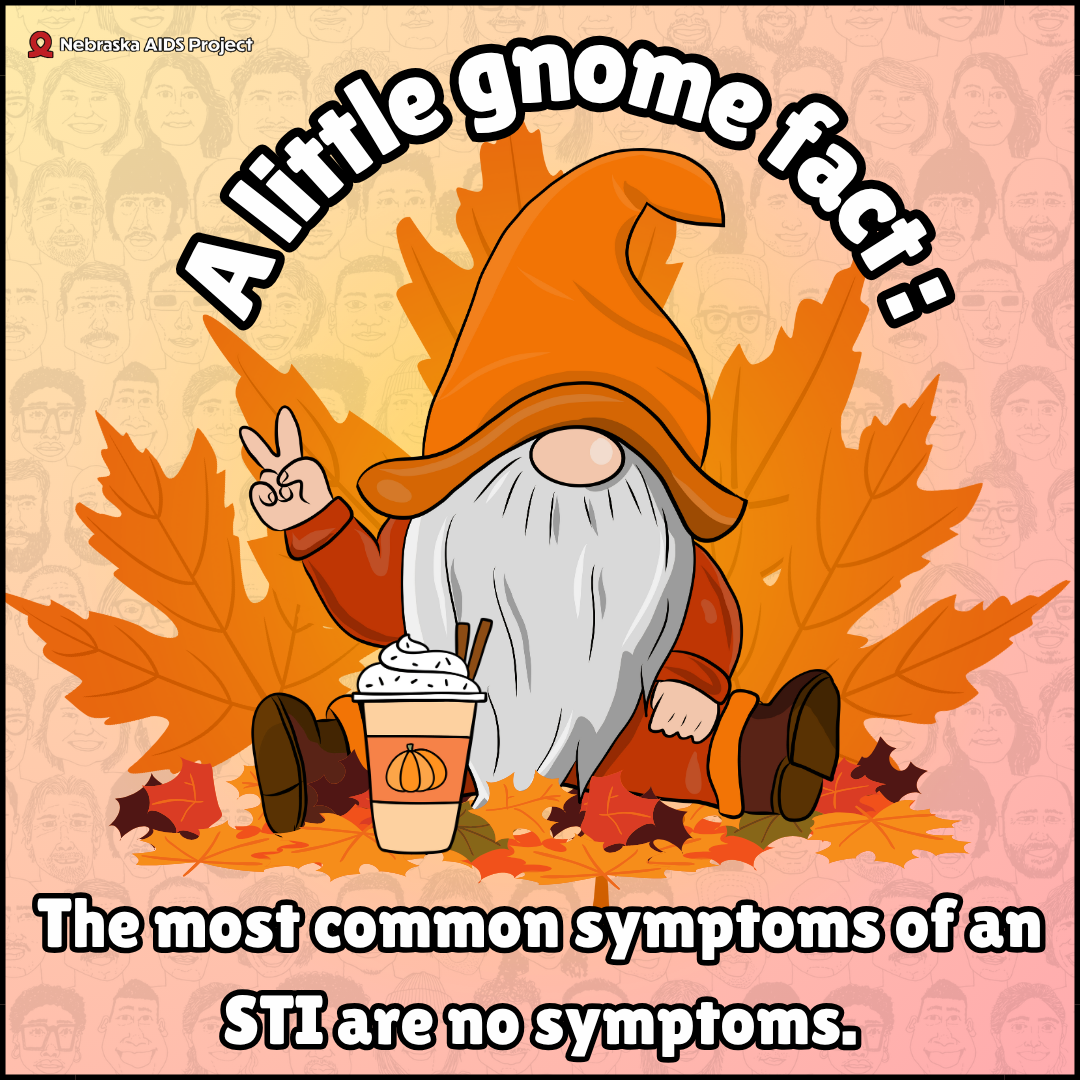 A little gnome fact 1